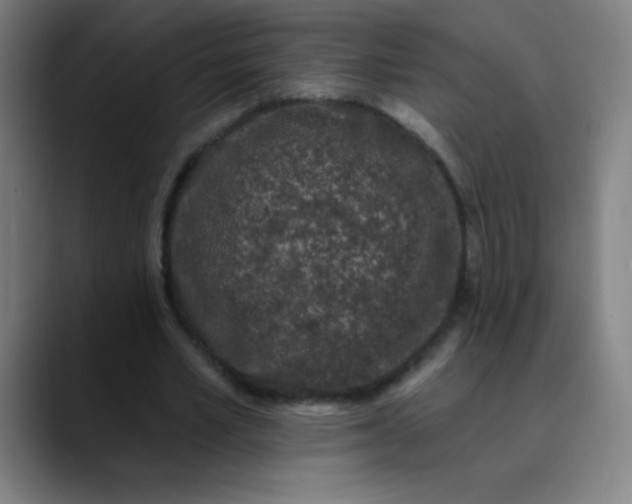 X0000089860581200707121738