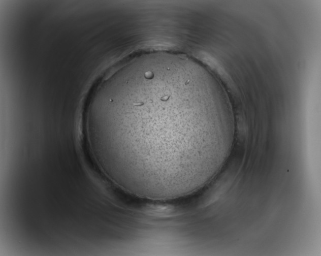 X0000089860582200707121738