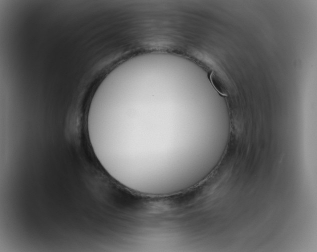 X0000089860583200707121738