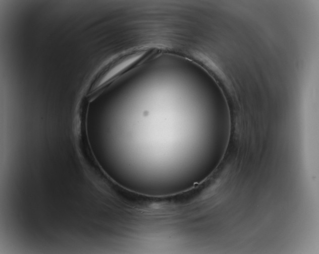 X0000089860584200707121738