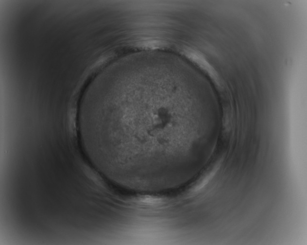 X0000089860585200707121738