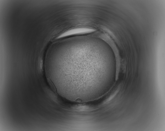 X0000089860589200707121737