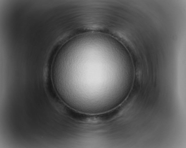 X0000089860591200707121737