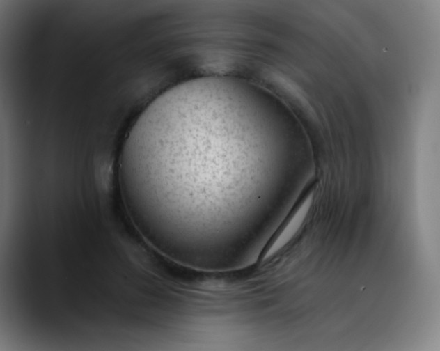 X0000089860596200707121737