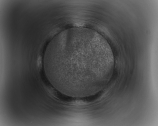 X0000089860598200707121737