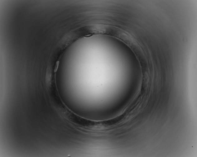 X0000089860600200707121737