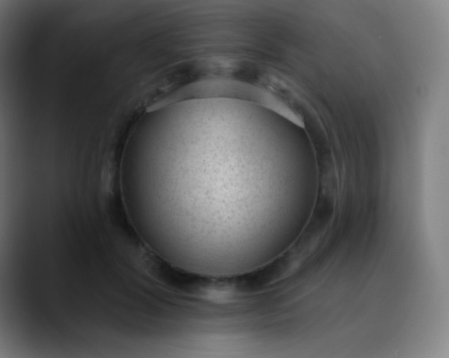 X0000089860604200707121737