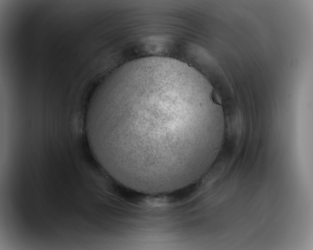 X0000089860606200707121737