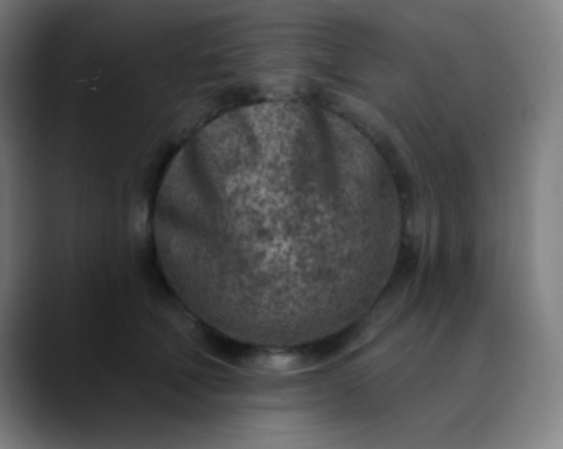 X0000089860610200707121737