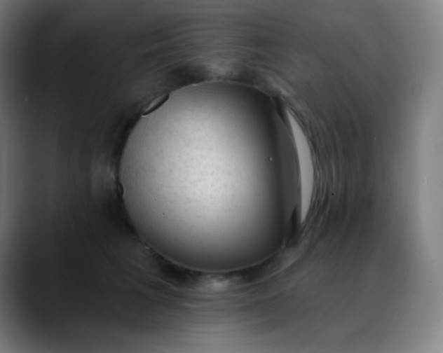 X0000089860613200707121737