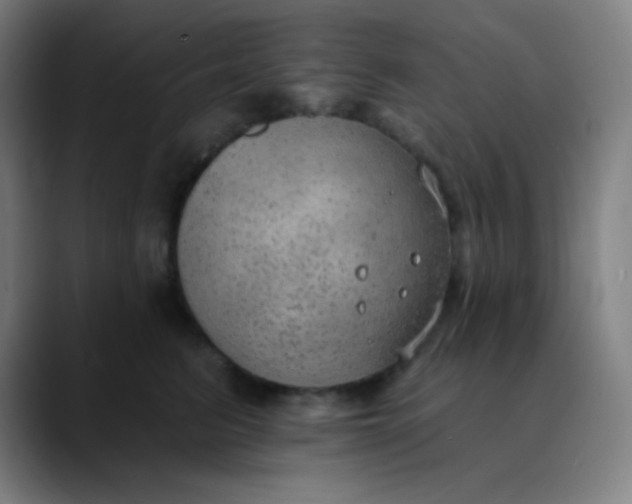 X0000089860615200707121737