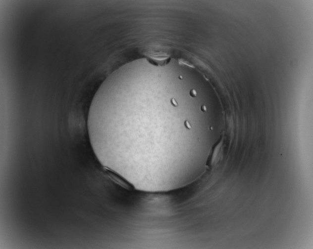 X0000089860617200707121737