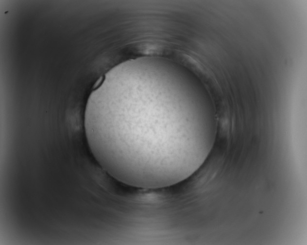 X0000089860620200707121737