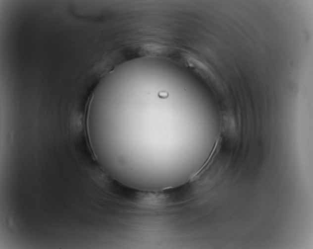 X0000089860621200707121737