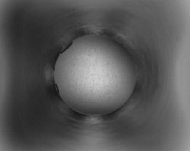 X0000089860624200707121737