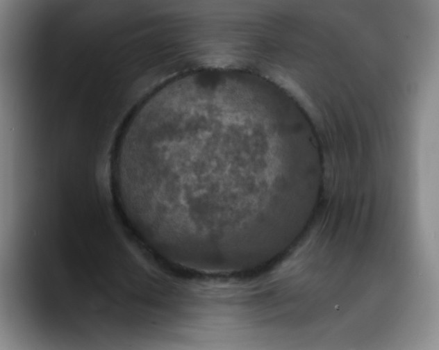 X0000089860626200707121736