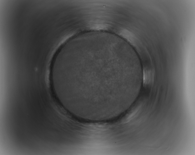 X0000089860627200707121736