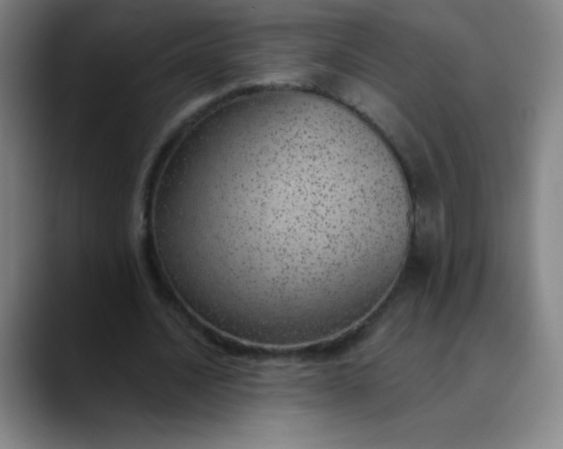 X0000089860628200707121736