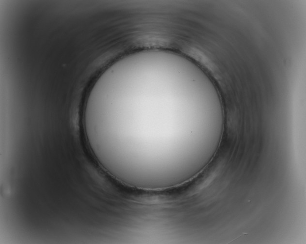 X0000089860629200707121736