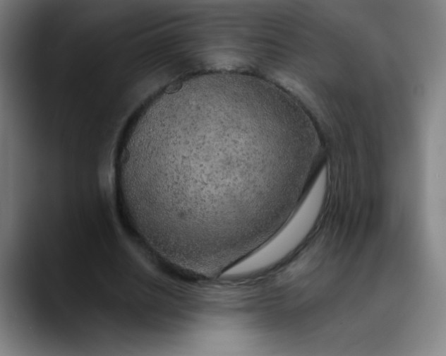 X0000089860630200707121736