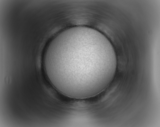 X0000089860631200707121736