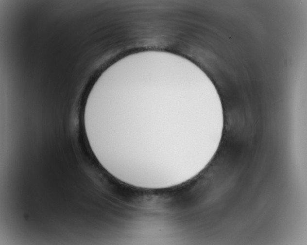 X0000089860632200707121736