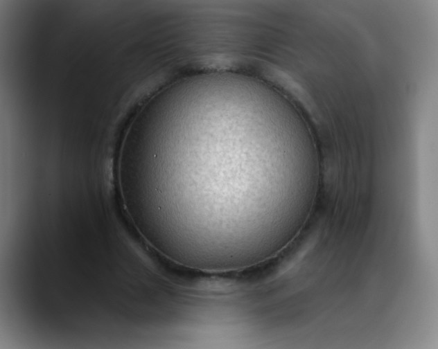 X0000089860633200707121736