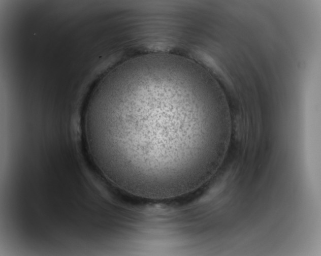 X0000089860634200707121736