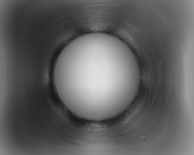 X0000089860635200707121736