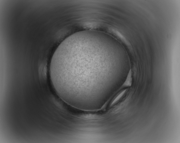 X0000089860637200707121736