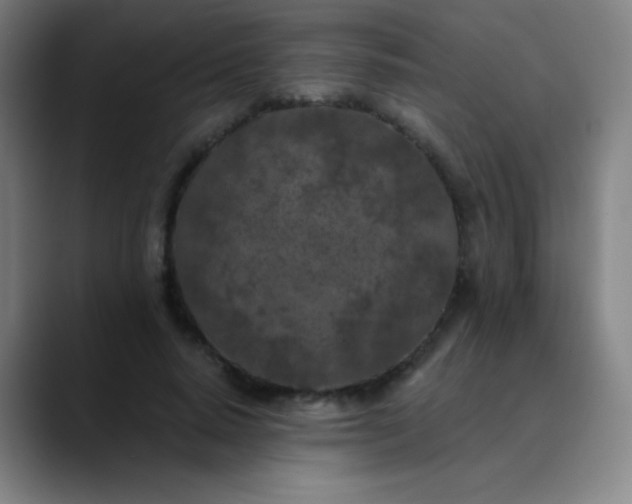 X0000089860640200707121737