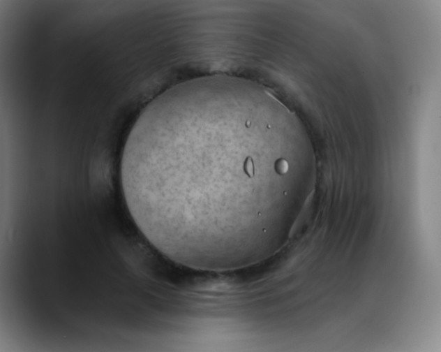 X0000089860643200707121737