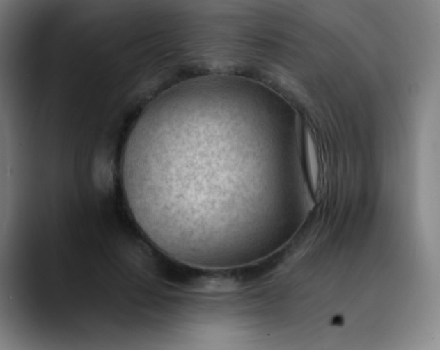 X0000089860644200707121737