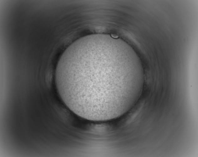 X0000089860645200707121737