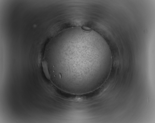 X0000089860647200707121737