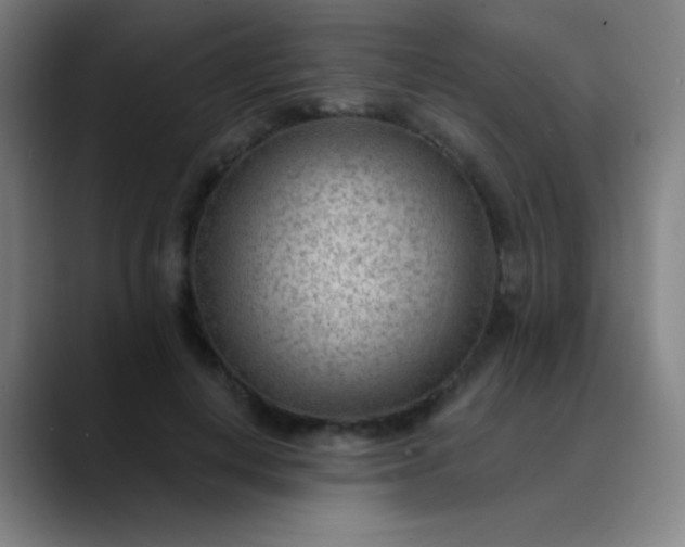 X0000089860648200707121737