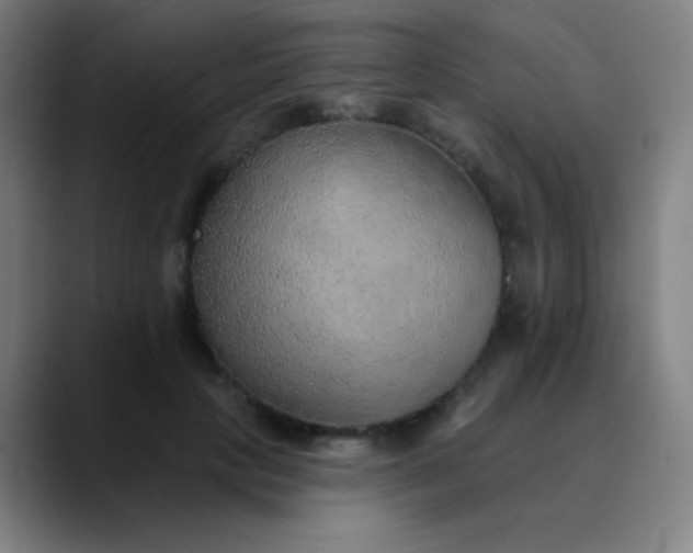 X0000089860649200707121737