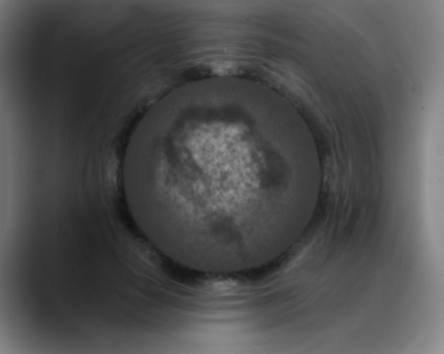 X0000089860650200707121737