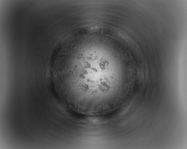 X0000089860654200707121737