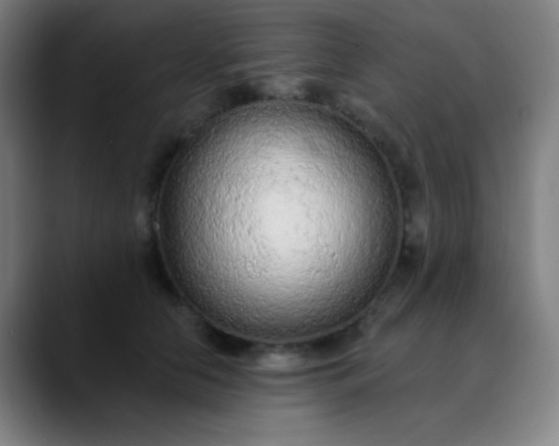 X0000089860658200707121737