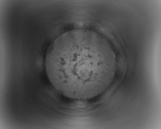 X0000089860659200707121737