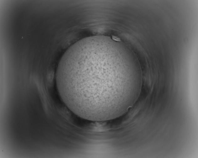 X0000089860660200707121737