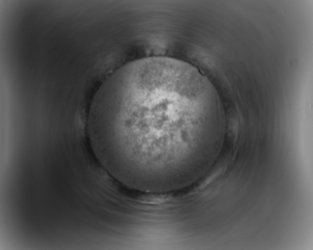 X0000089860661200707121737