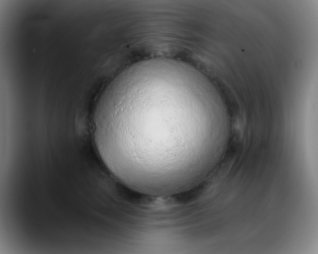 X0000089860663200707121737