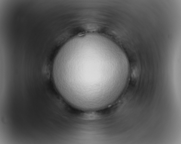 X0000089860666200707121737