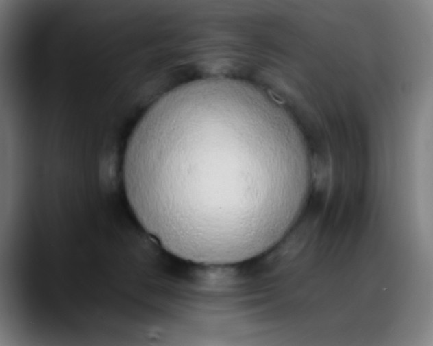 X0000089860670200707121737