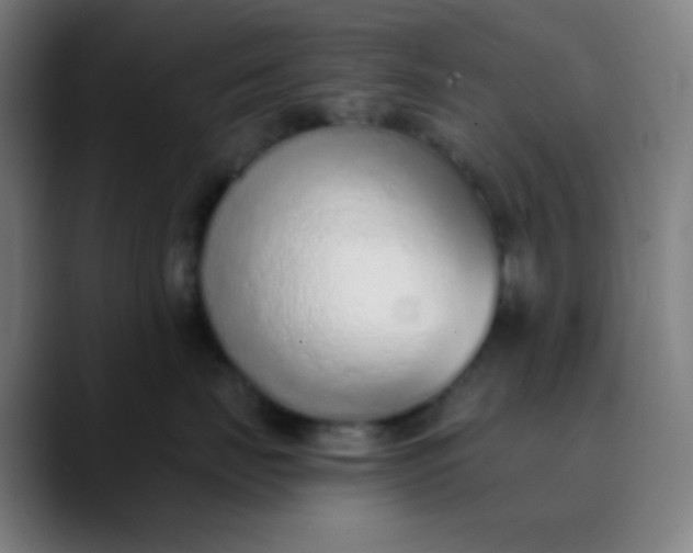 X0000089860671200707121737