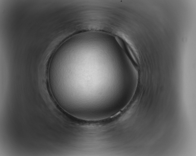 X0000089860673200707121736