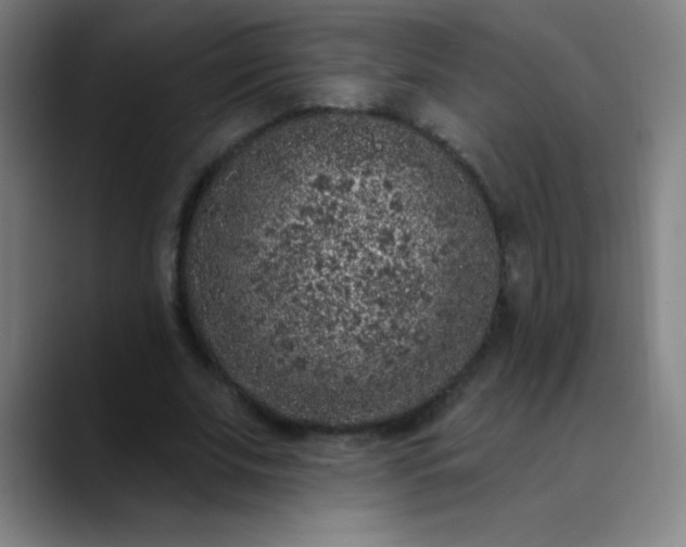 X0000089860679200707121736