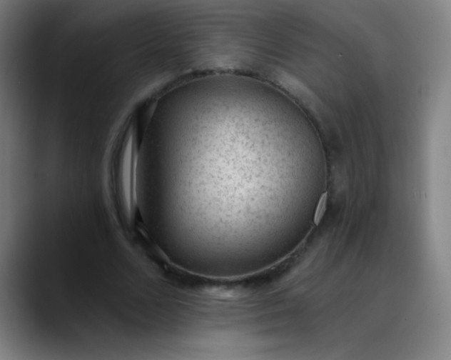 X0000089860680200707121736